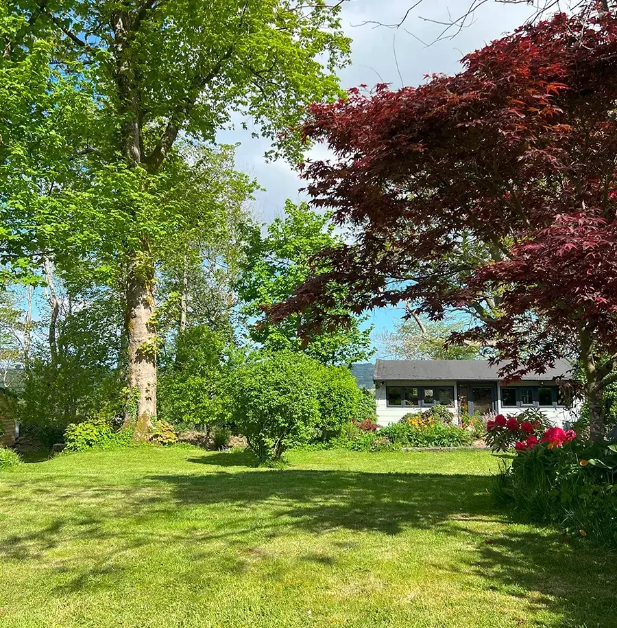 Our Welsh Cottage Garden and Art Studio Panoramic view of the tranquil Welsh cottage garden with the custom-built art studio nestled discreetly among lush trees.
