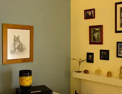 A framed pet portrait, perfectly capturing the likeness of the cat and admired for its beautiful framing.