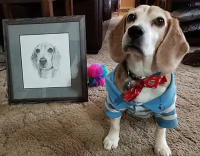 Client Ben's handsome dog, Blue, admiring his newly framed pet portrait, hung in a family room.