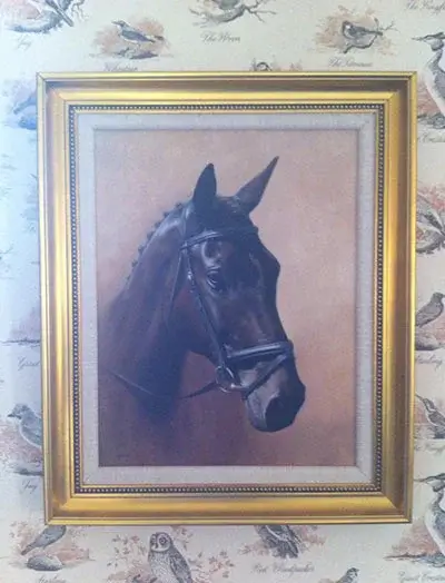 A stunning pet portrait that perfectly captures the subject, intended as a Christmas gift for Katrine.